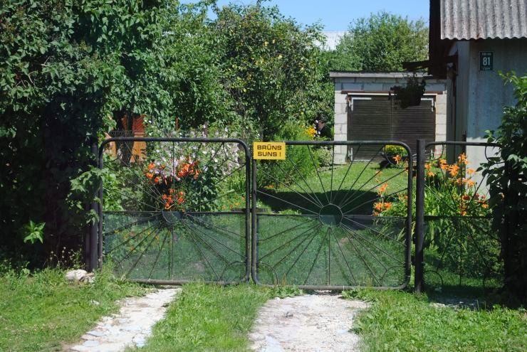 Uzmanies, brūns suns!